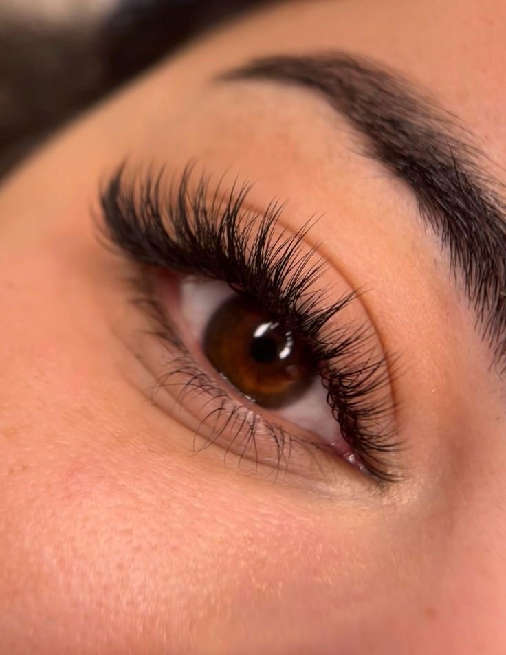 Lash extensions close-up
